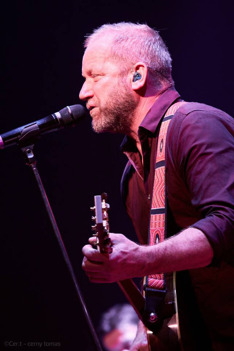 David Koller: Live