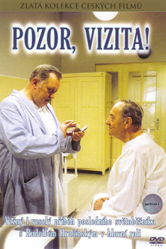 Pozor, vizita!