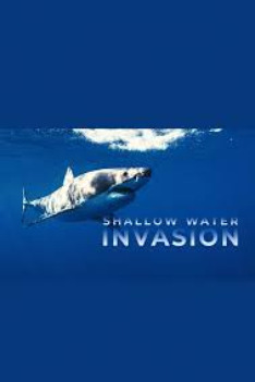 Shallow Water Invasion