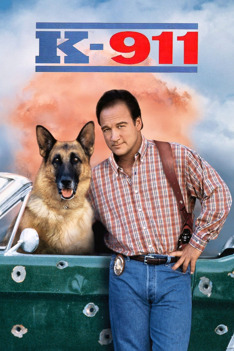 Superagente K-911