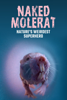 Rypoš lysí: Nejpodivnější superhrdina