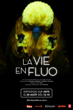 La vie en fluo