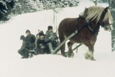 The Children From The Noisy Village