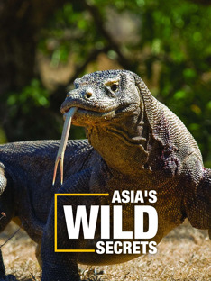 Asia's Wild Secrets