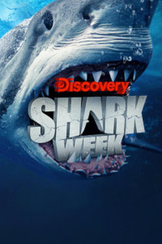 Return to Shark Island