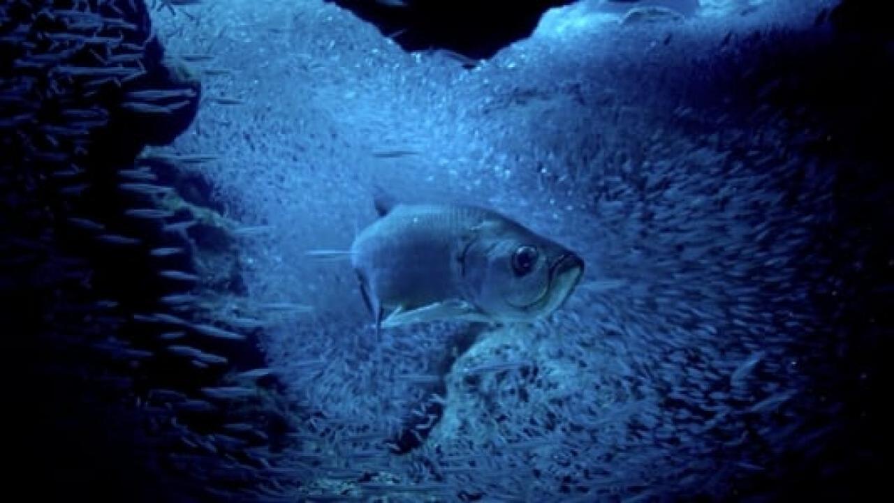 Atlantik - nejdivočejší oceán na planetě