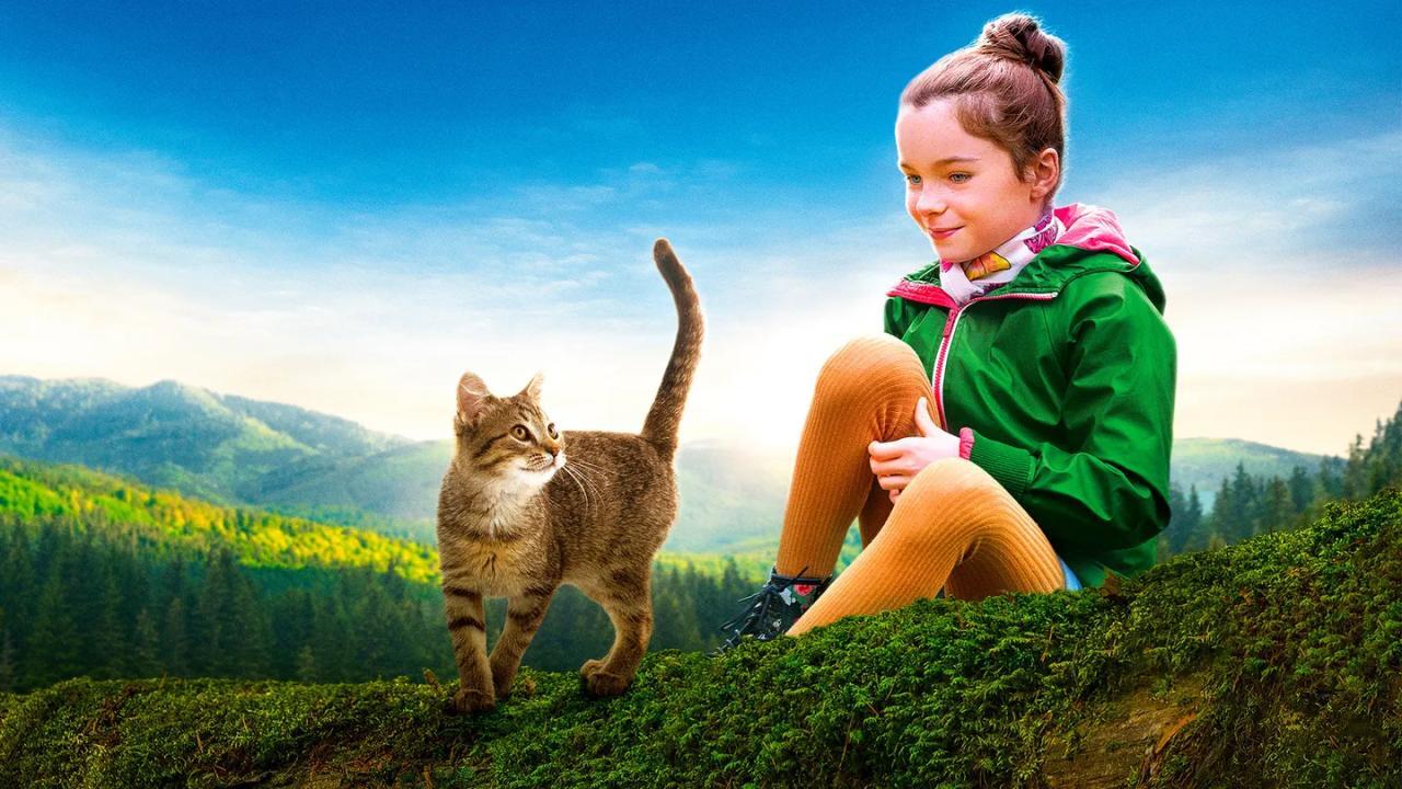 Život kotěte