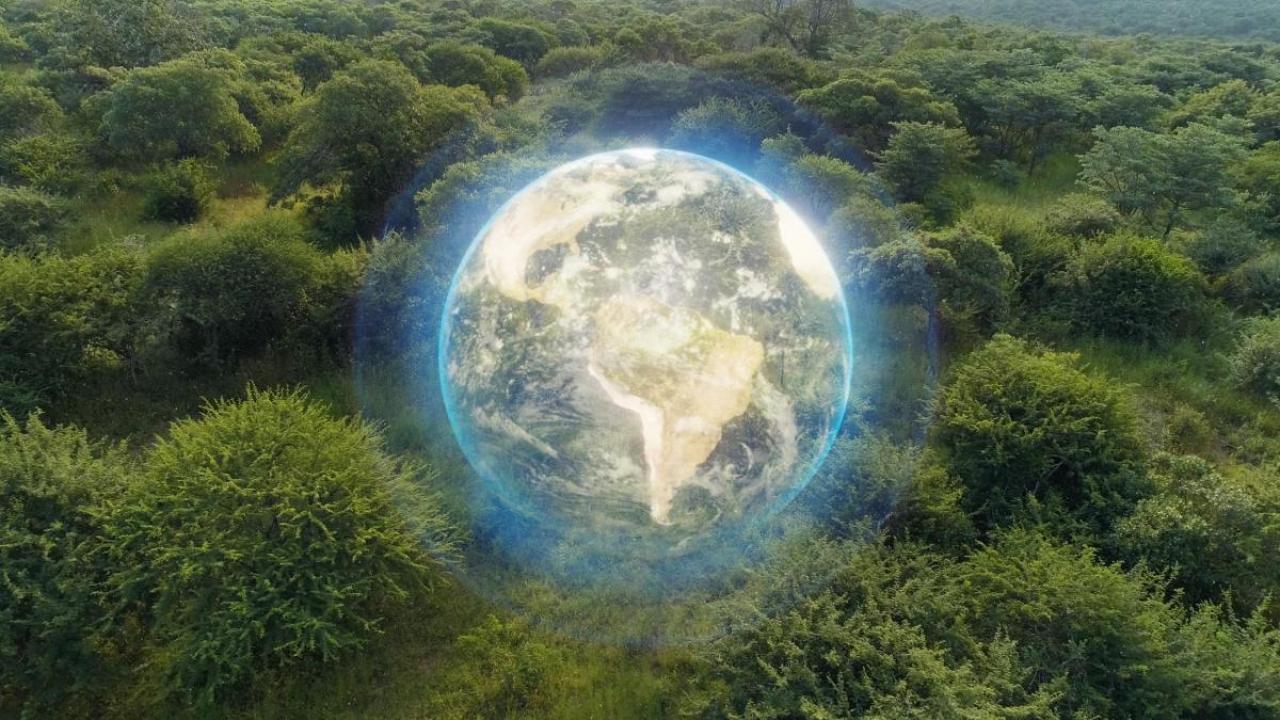 Earth, A Living Body