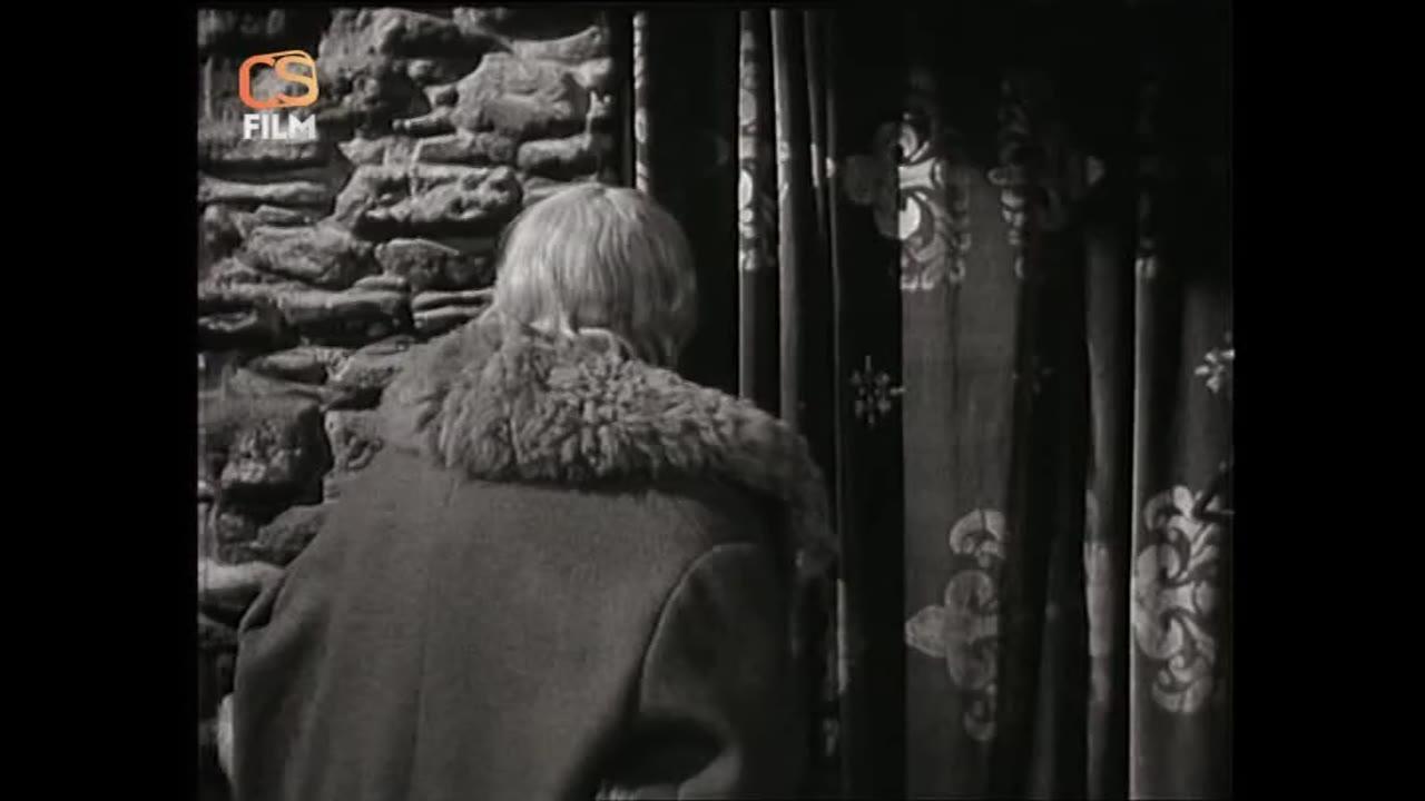 Crime at the Zlenice Castle