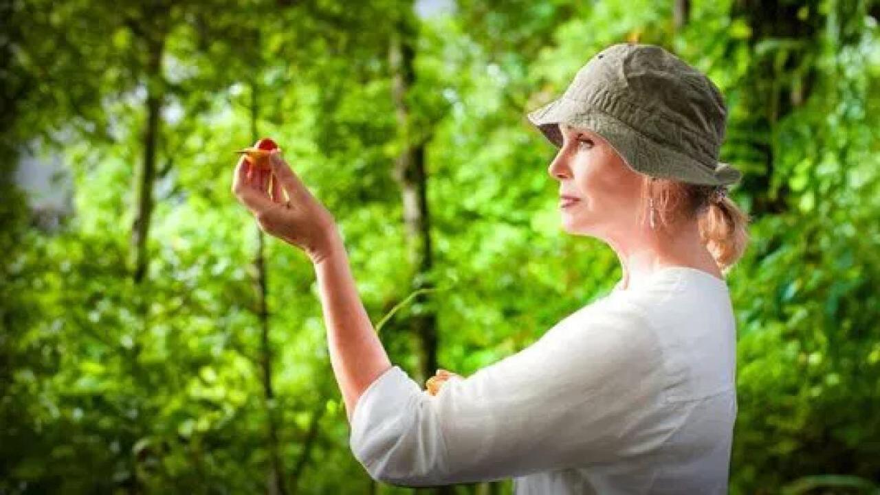 Joanna Lumley na cestě za kořením