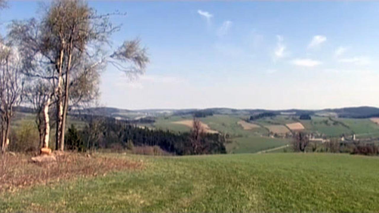 Počesku / 16.07.2025, 10:35