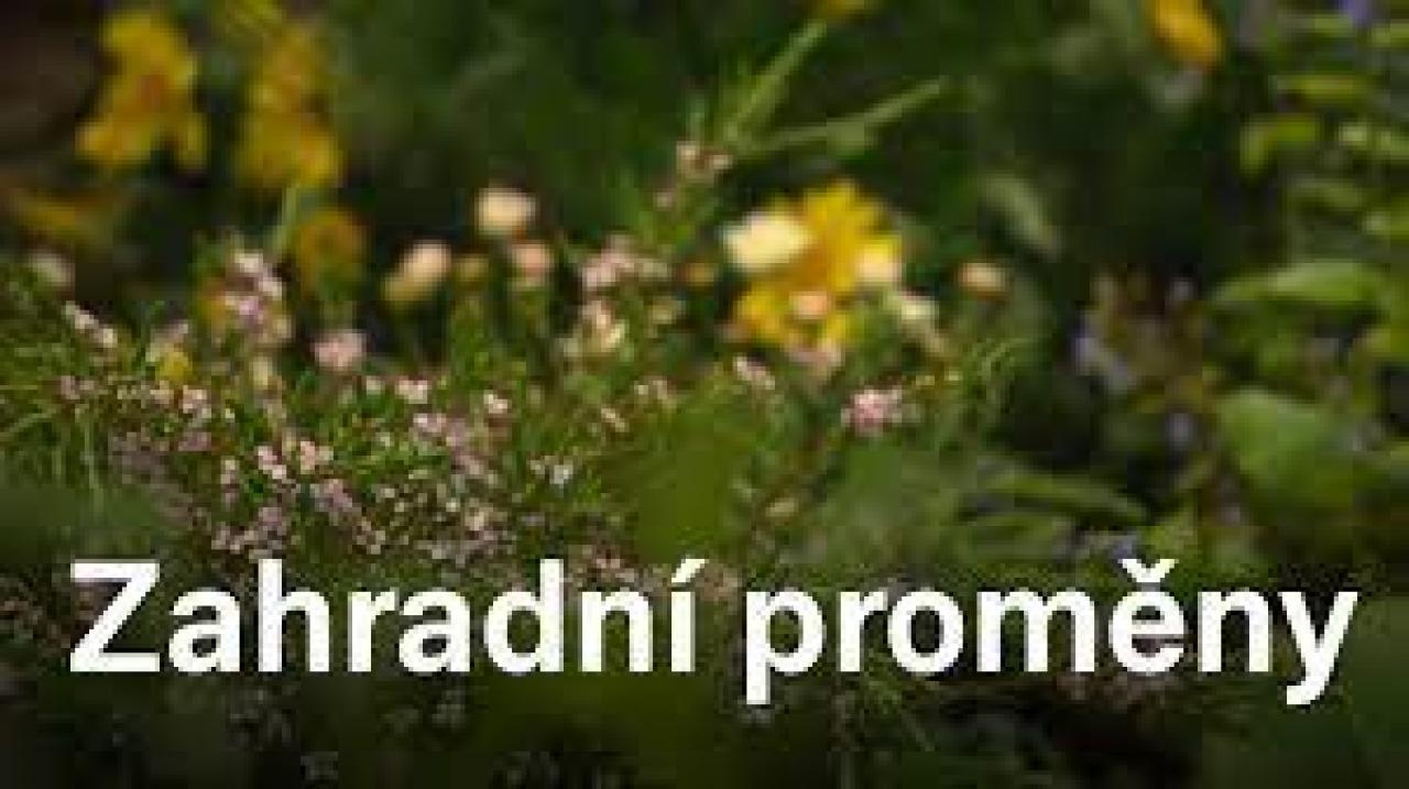 Zahradní proměny / 02.06.2025, 07:10