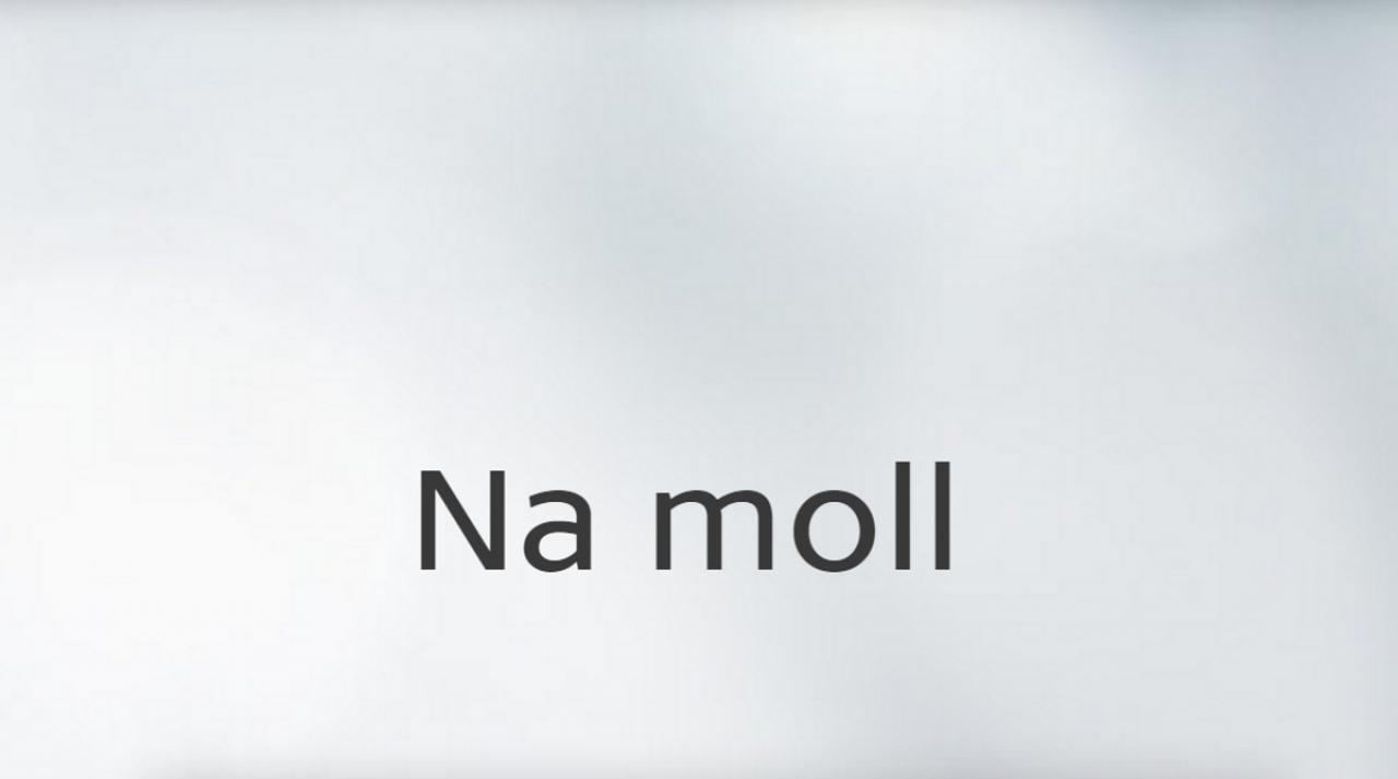 Na moll... / 23.05.2025, 02:50
