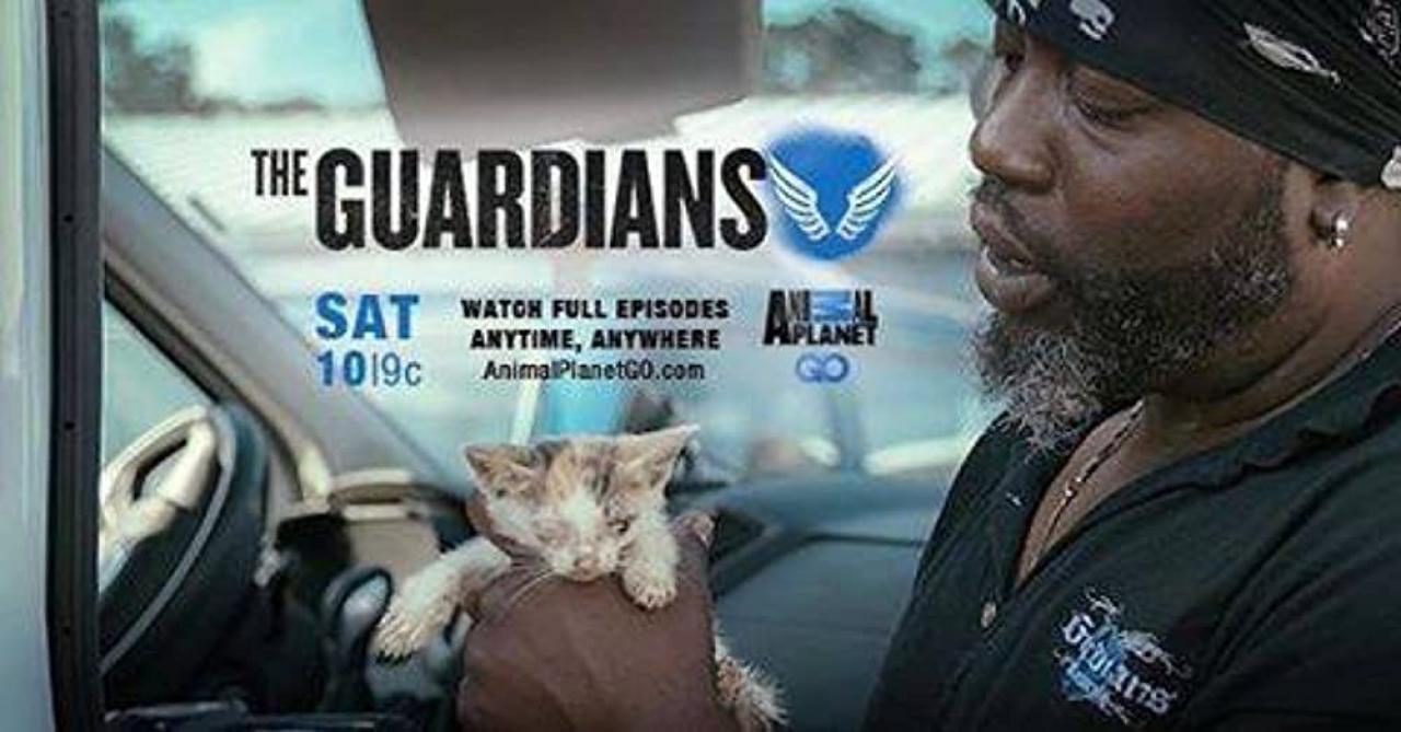 Guardians of Rescue / 24.06.2025, 14:00