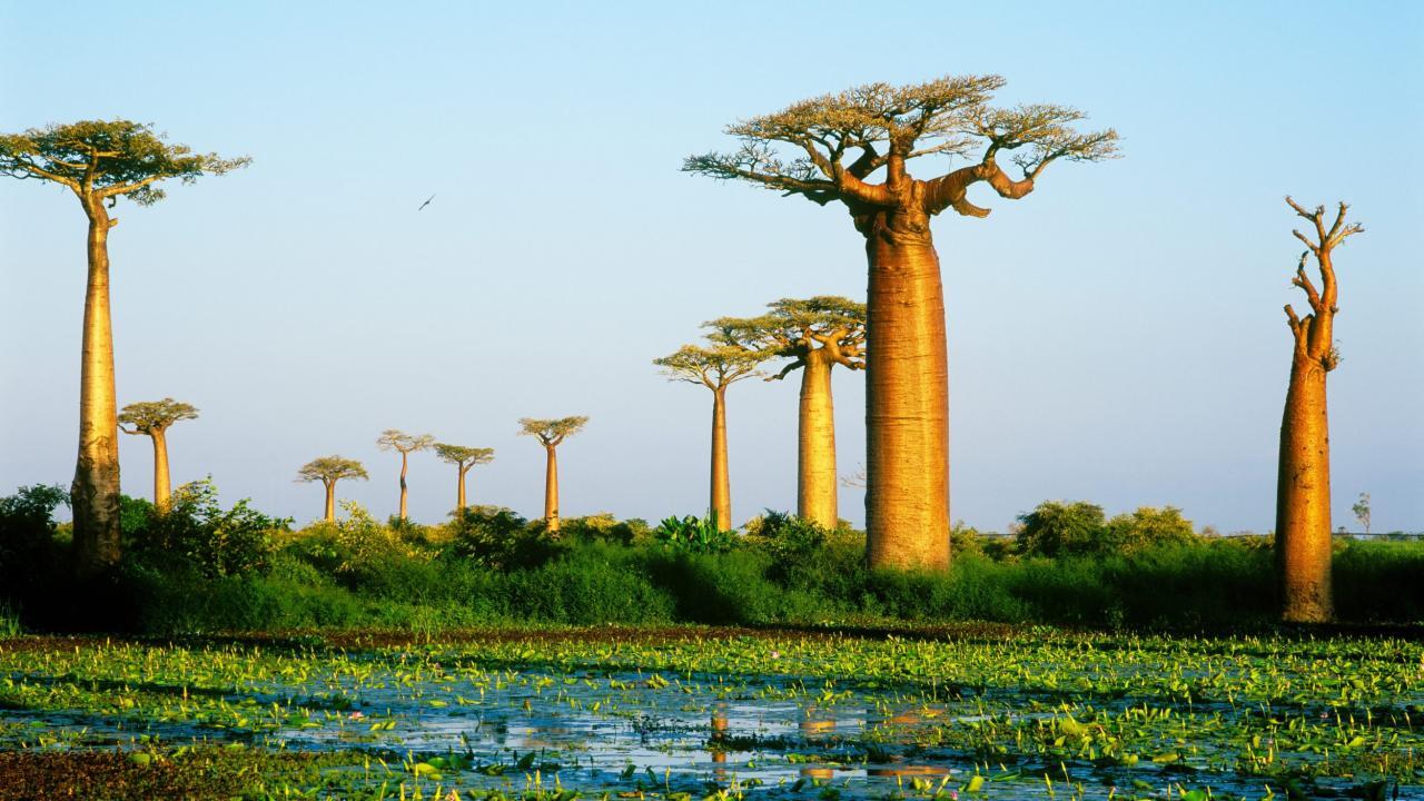 Madagaskar / 18.07.2025, 09:00