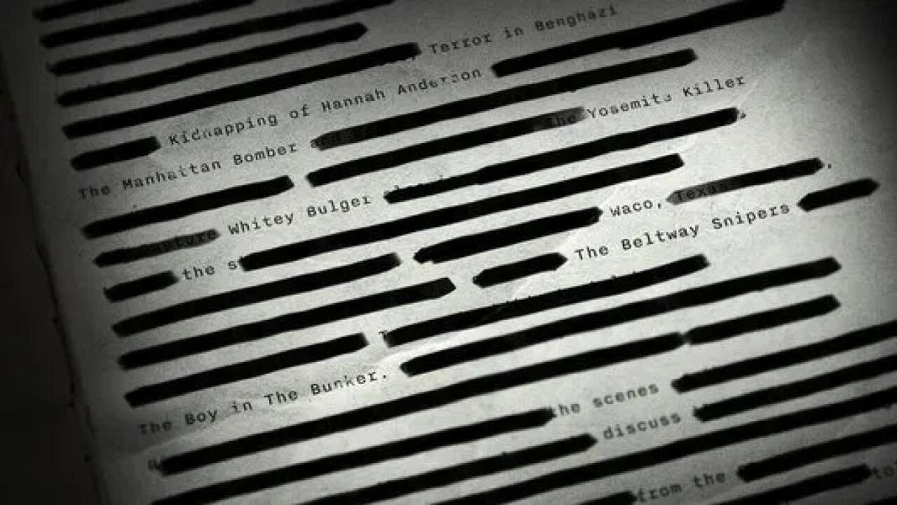 FBI - Agenti řeší případy