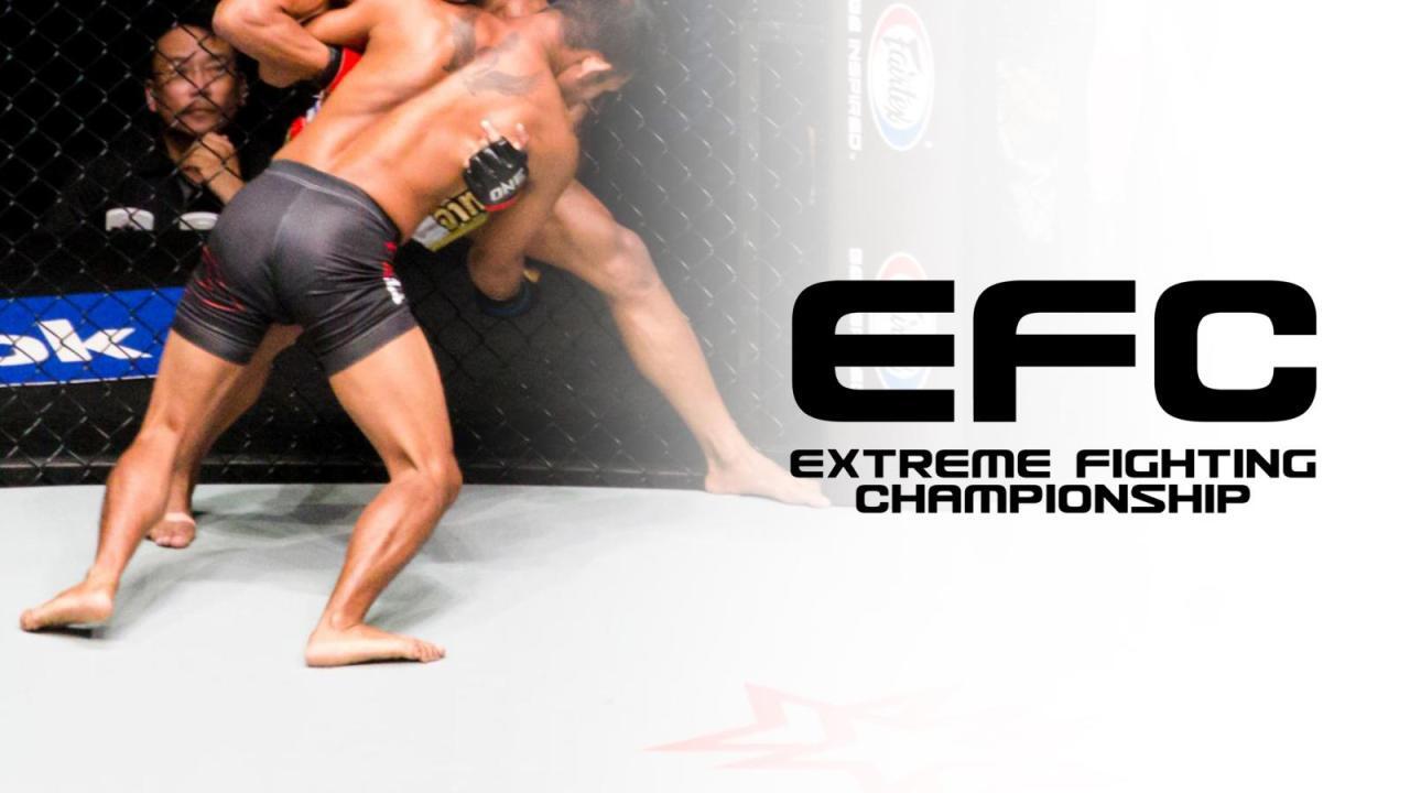 EFC 98