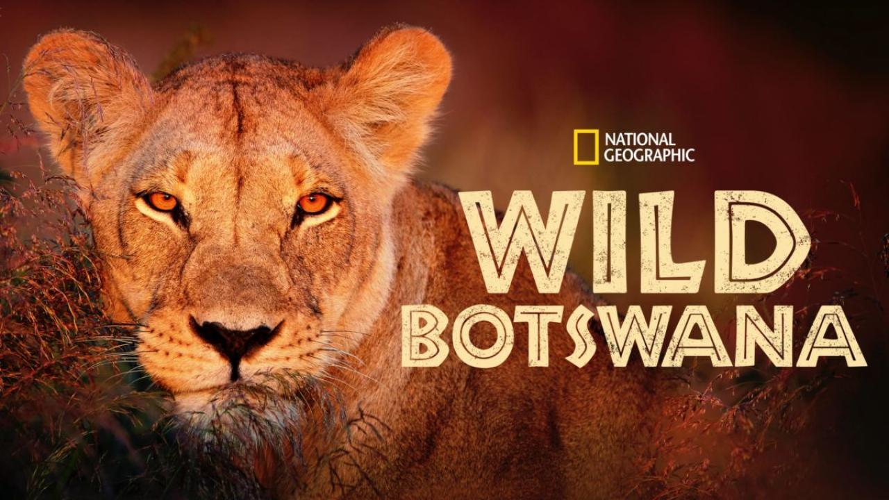 Divoká Botswana / 24.04.2025, 15:45