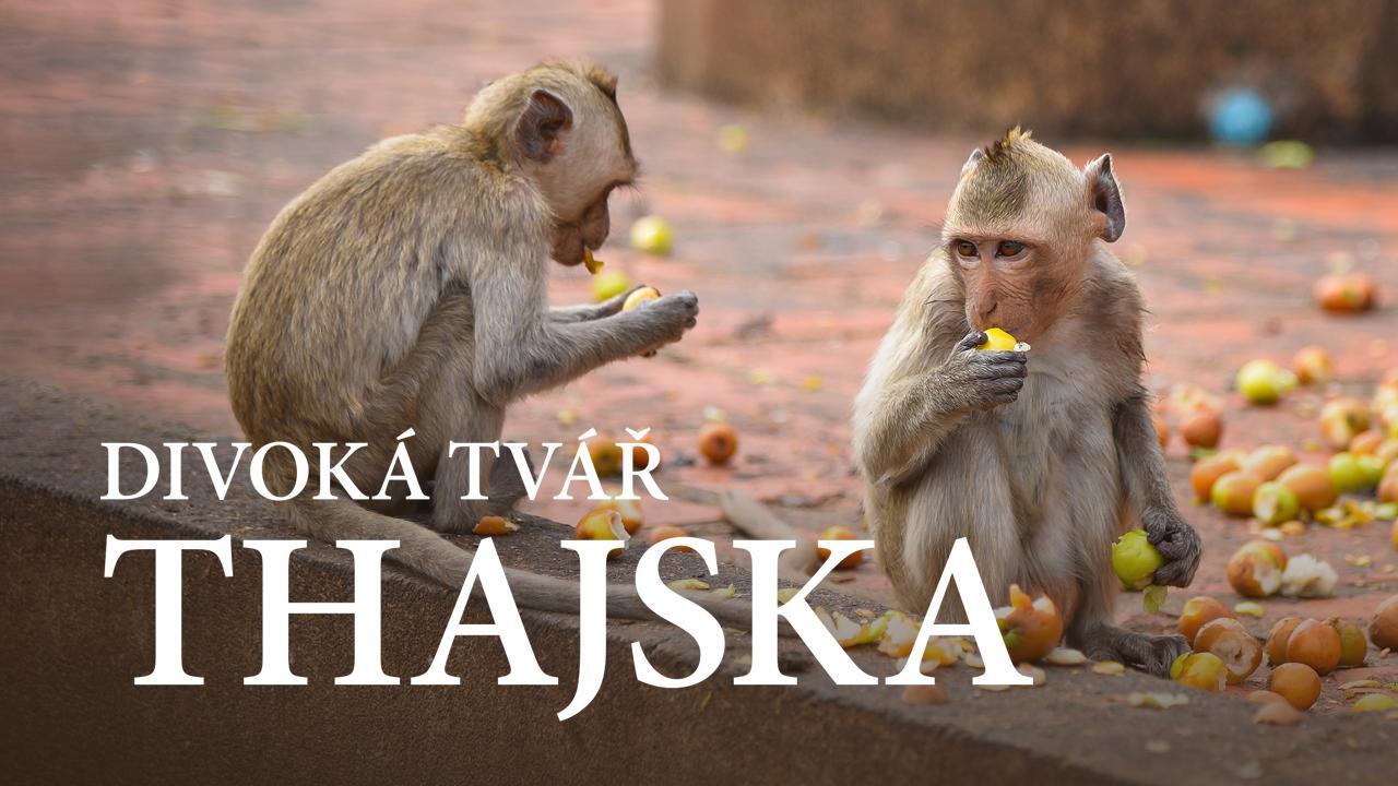 Divoká stránka Thajska