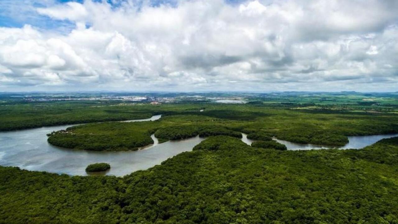 Earth's Great Rivers / 22.04.2025, 08:30