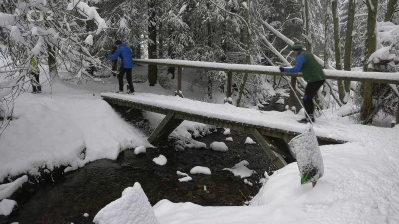 Bežkopotulky (Bežkopotulky: Krušné hory) / 01.03.2025, 08:40
