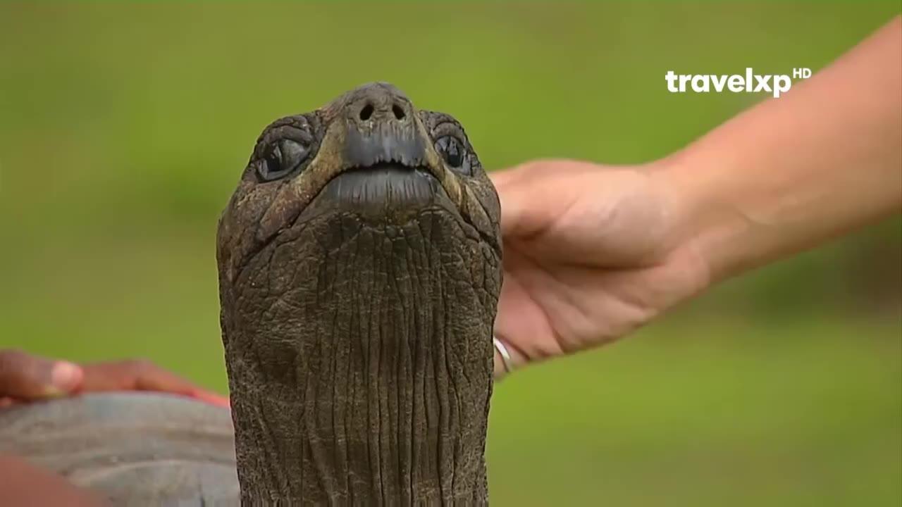 Můj velký tlustý a báječný život