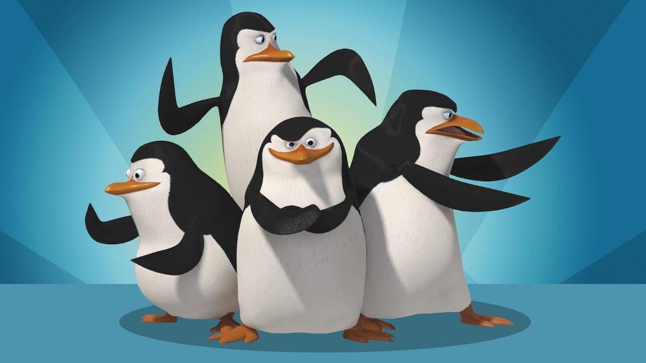 Tučniaky z Madagascaru