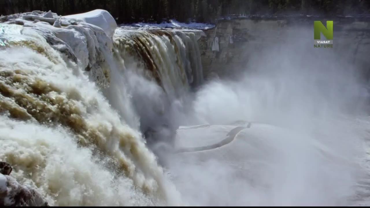 The Wild Canadian Year