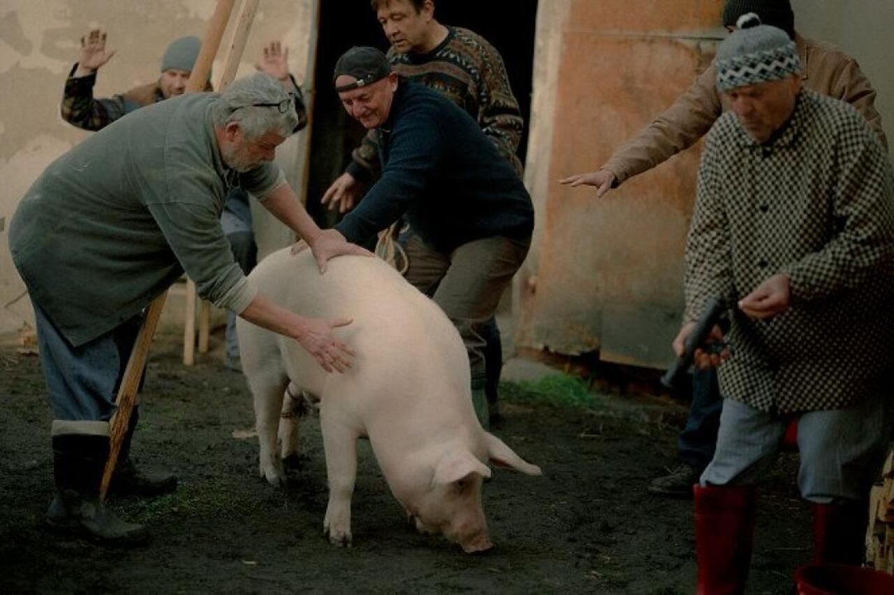 Our Lovely Pig Slaughter