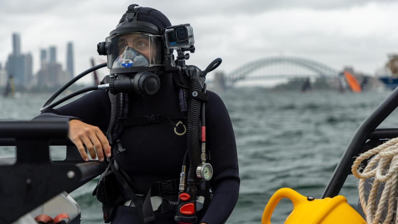 Invaze žraloků v Sydney