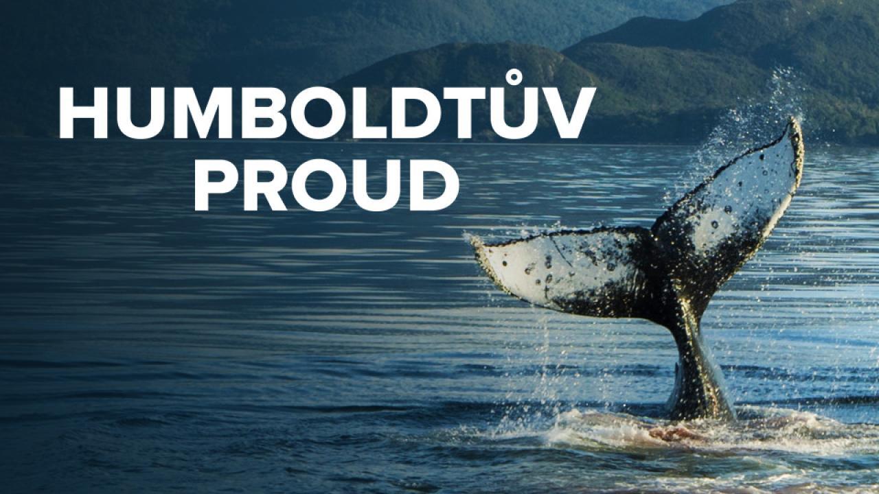 Humboldtův proud