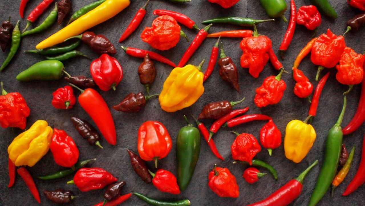Lovec chilli (Singapur) / 14.05.2025, 16:00