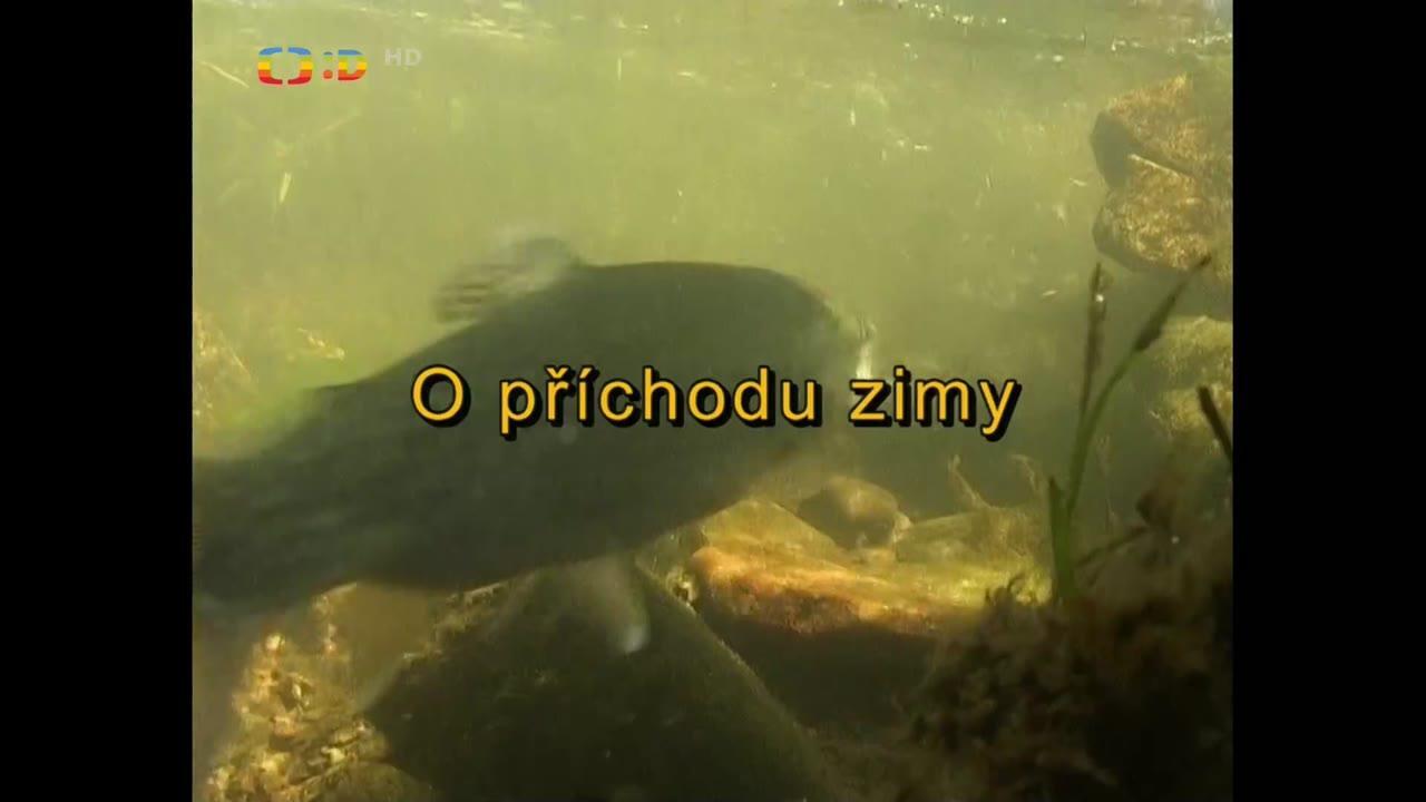 Vydrýsek / 05.07.2025, 10:25