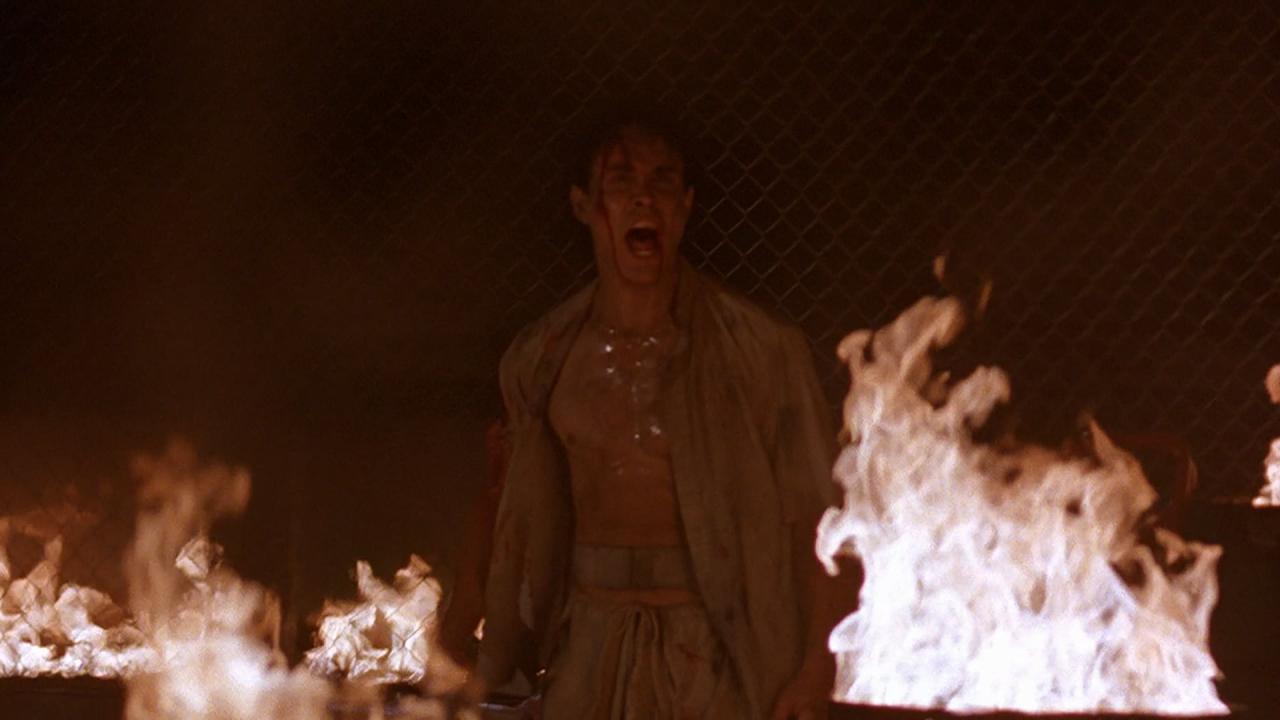 Furia de venganza