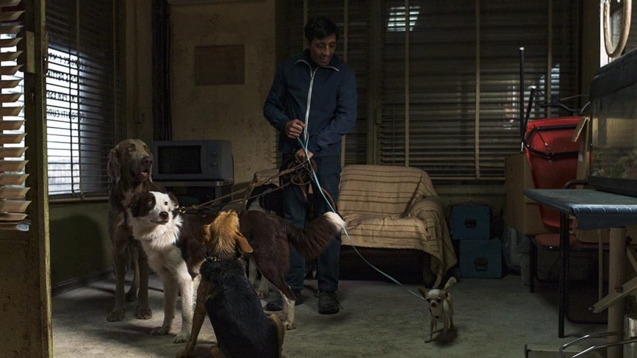 Dogman
