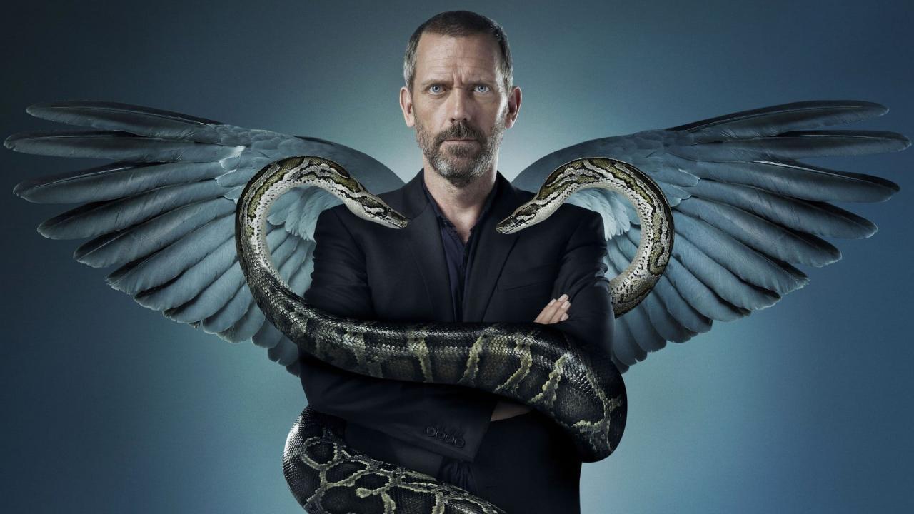 Dr. House