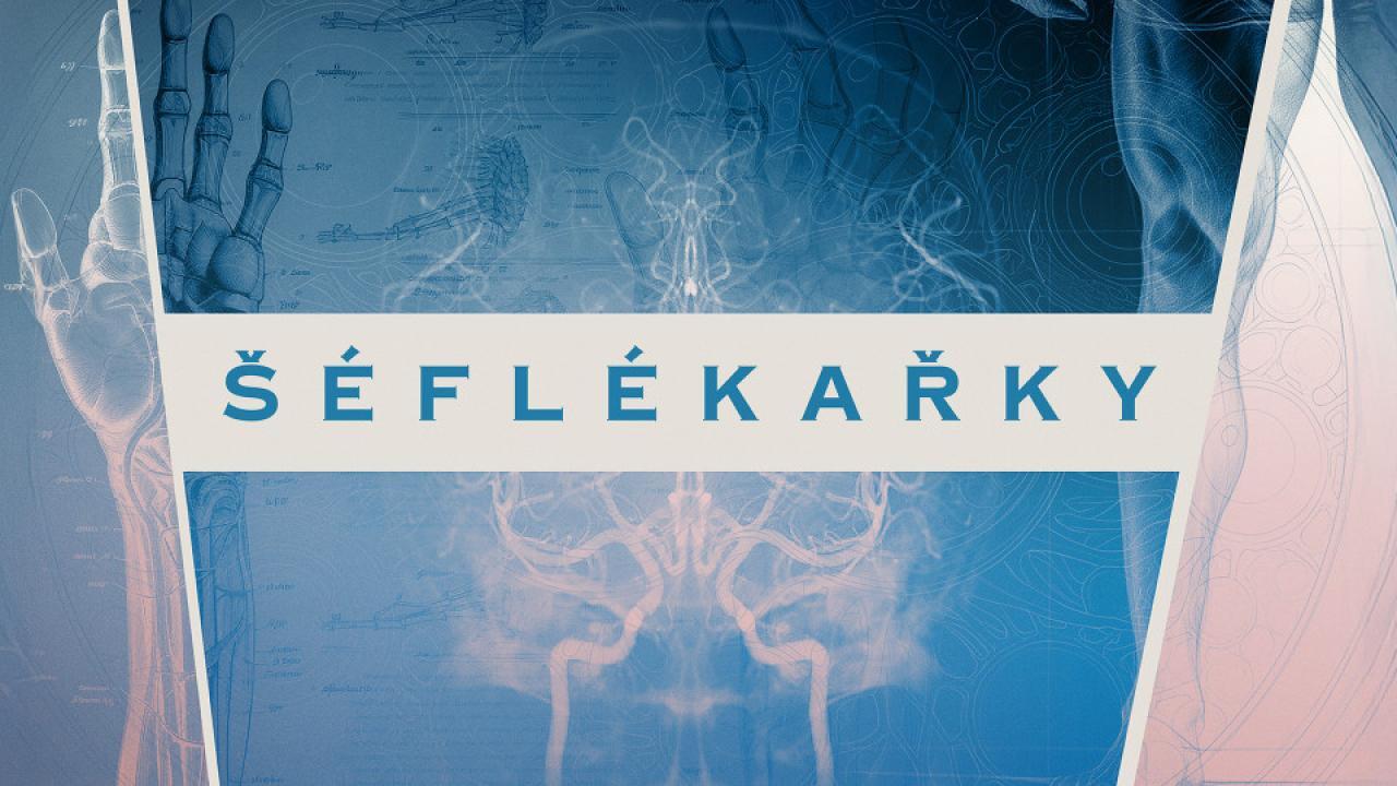 Šéflékařky