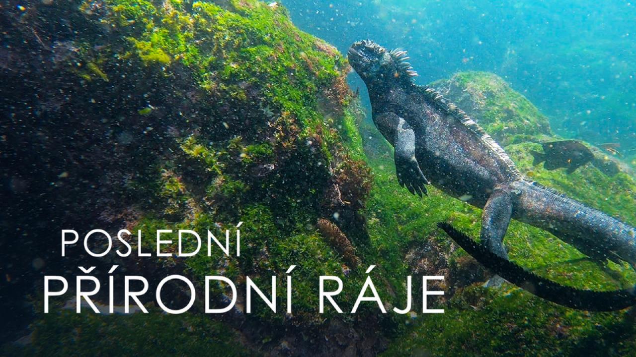 Posledné raje / 13.07.2025, 10:55