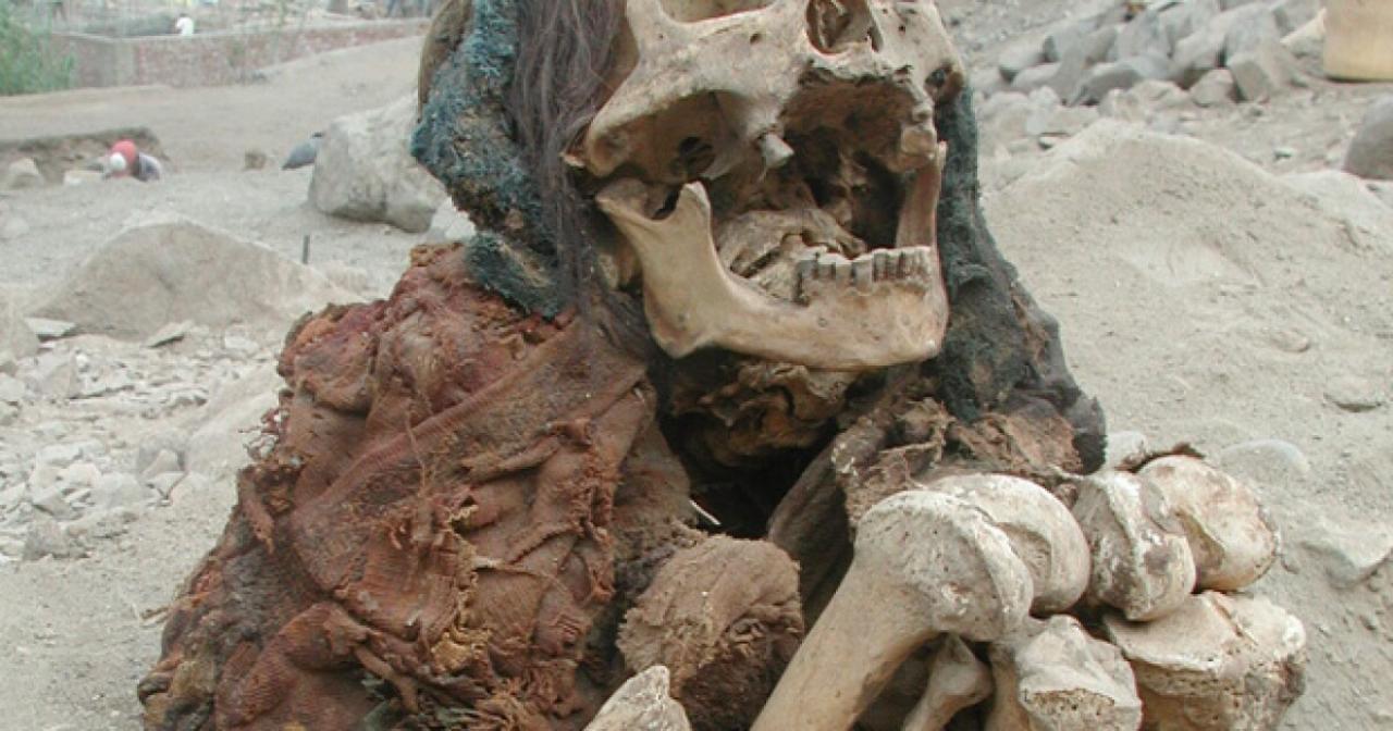 Skeletons of the Inca Rebellion