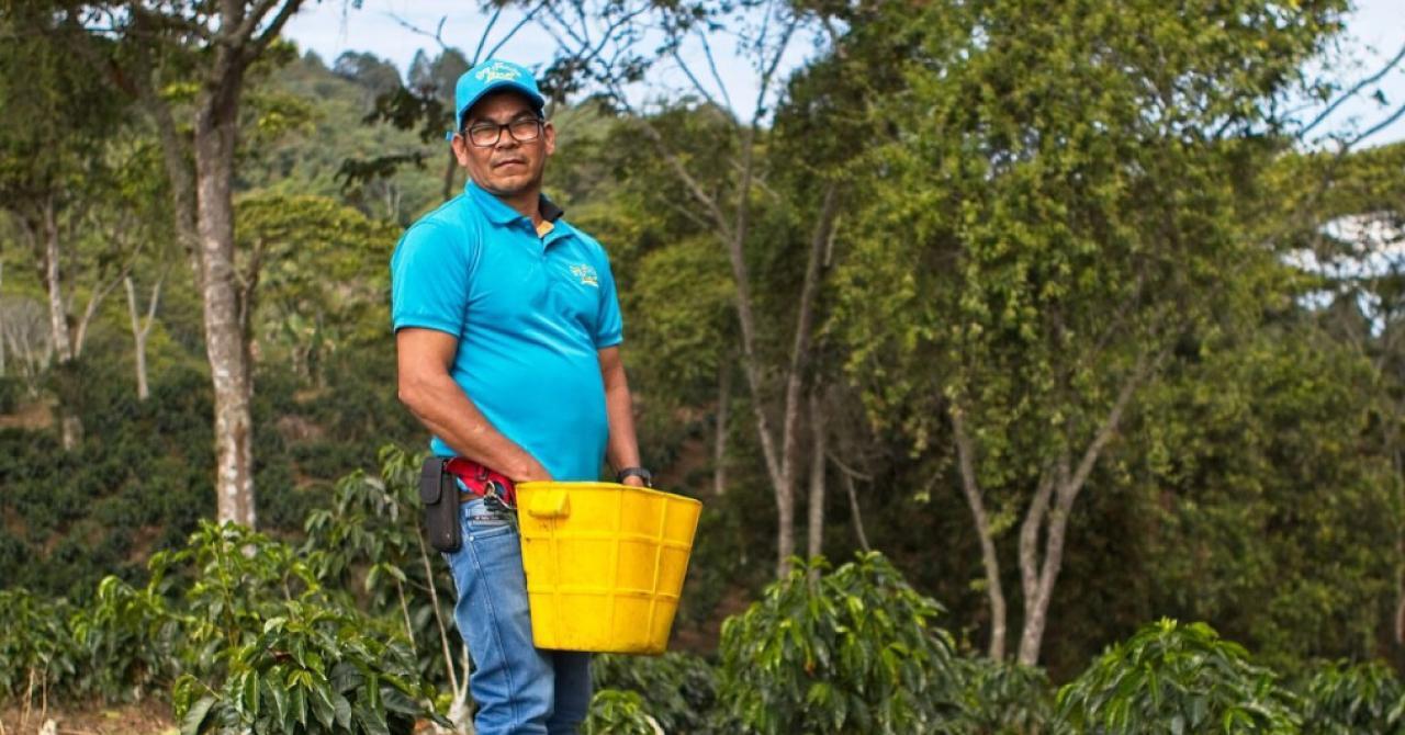 The Future of Coffee