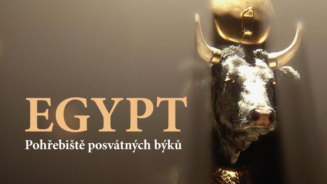 Egypt: Pohřebiště posvátných býků