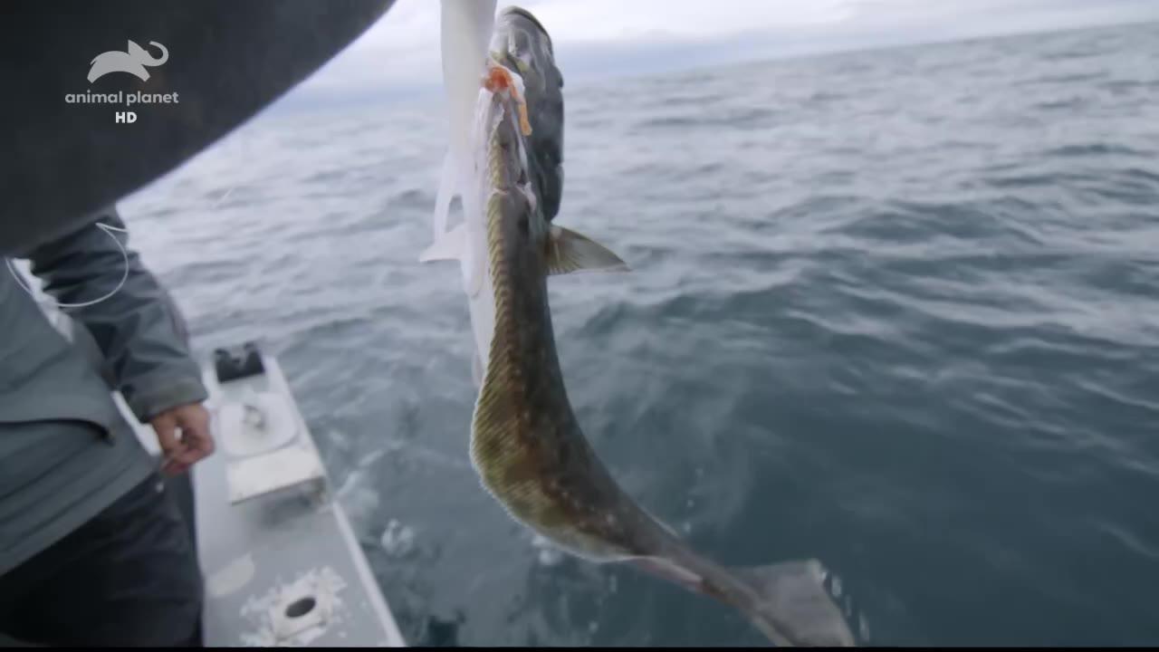 Jeremy Wade: V temných vodách
