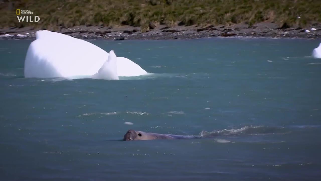 Frozen Islands