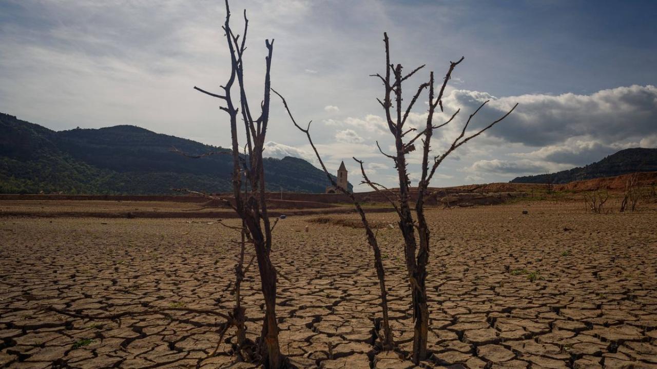 Klimatická krize: Sucho