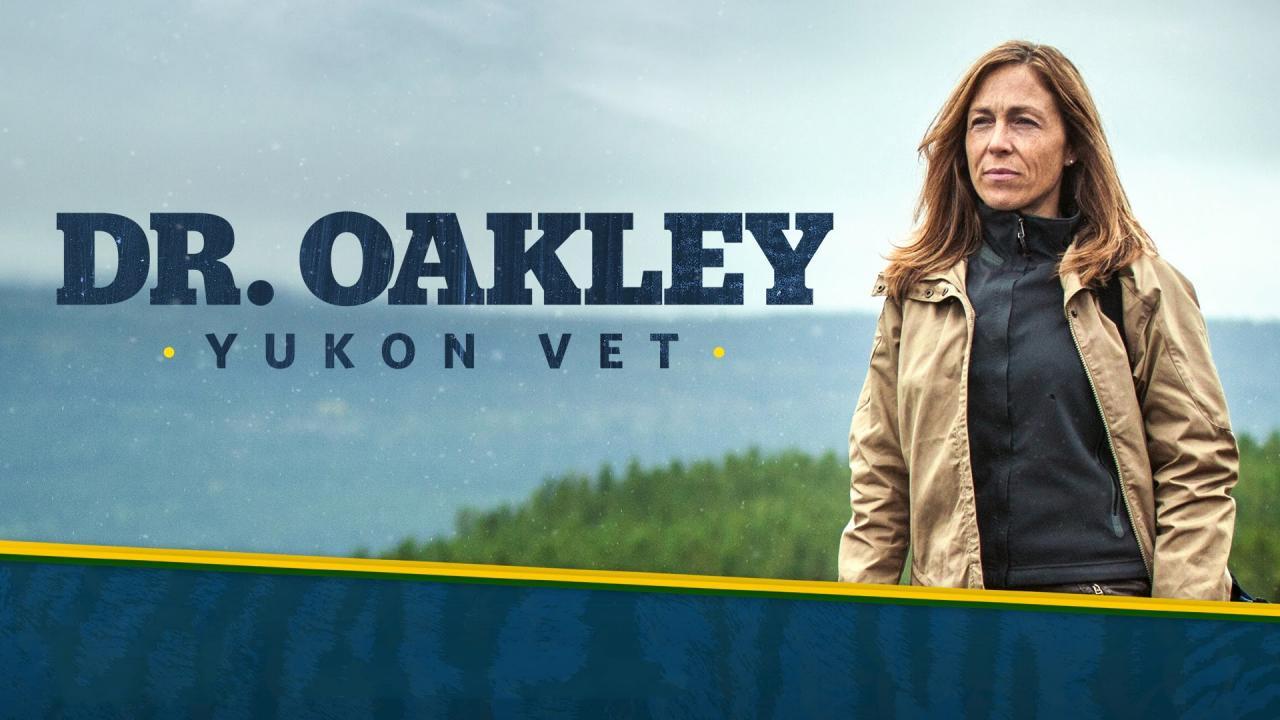 Yukonská veterinářka
