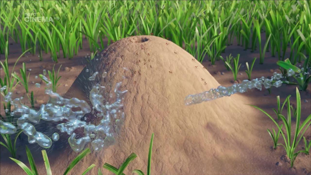 Mravenčí polepšovna