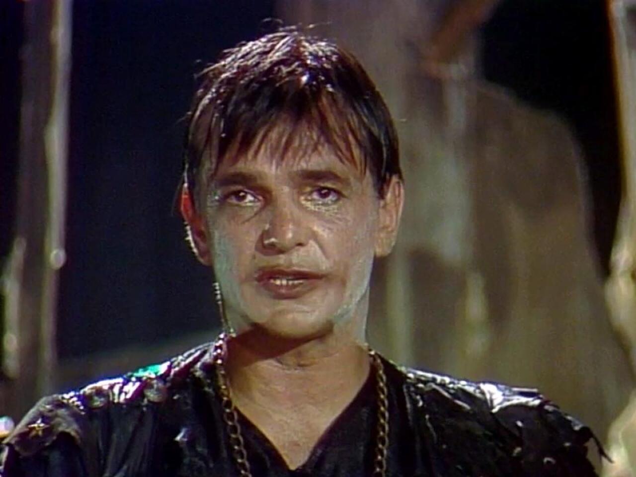 Don Šajn