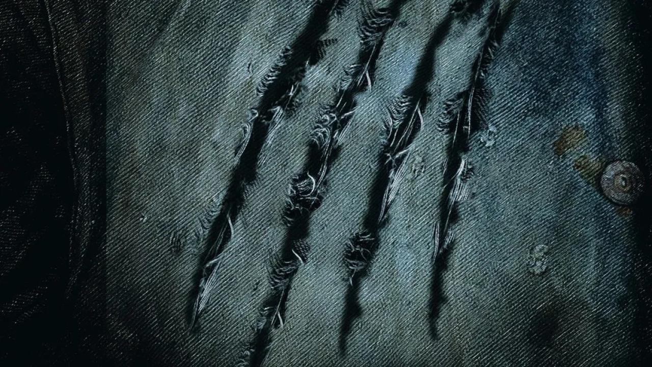 Byla jsem kořist: Týden se žraloky