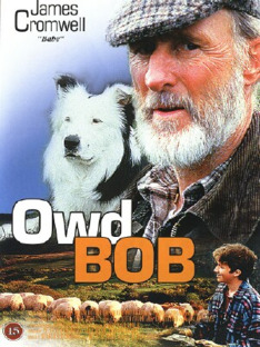 Owd Bob