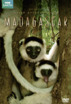 Madagaskar